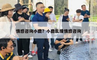 情感咨詢小鹿？小鹿亂撞情感咨詢