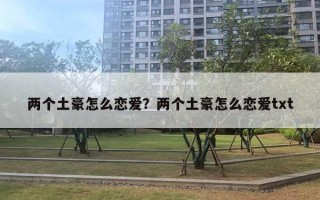 兩個(gè)土豪怎么戀愛？兩個(gè)土豪怎么戀愛txt