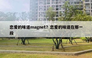 戀愛的味道m(xù)agnet？戀愛的味道在那一段