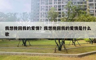 我想挽回我的愛情？我想挽回我的愛情是什么歌