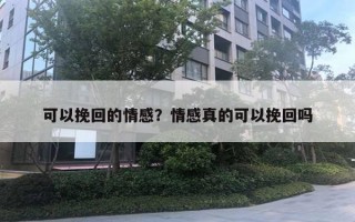 可以挽回的情感？情感真的可以挽回嗎