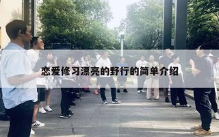 戀愛修習(xí)漂亮的野行的簡單介紹