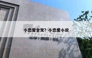 小戀愛全文？小戀愛小說