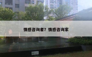 情感咨詢者？情感咨詢家